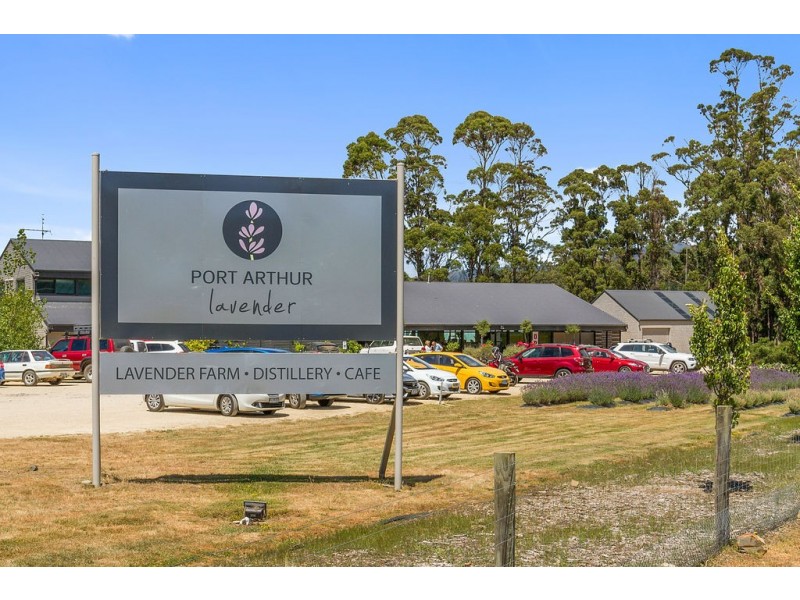 Cabin 10 Stewarts Bay Lodge, Port Arthur TAS 7182