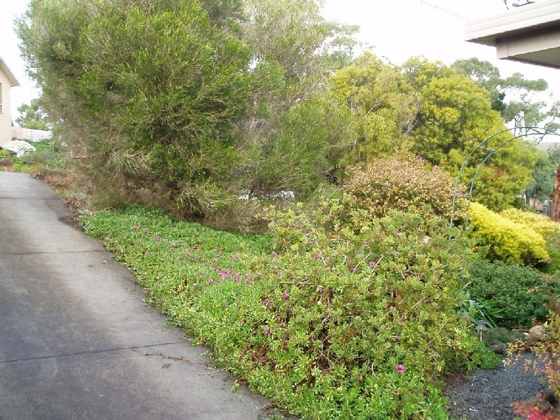 18 Joel Avenue, Carlton TAS 7173