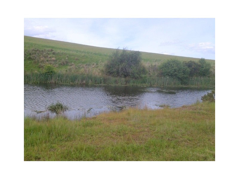 7 Moorpark Court, Forcett TAS 7173