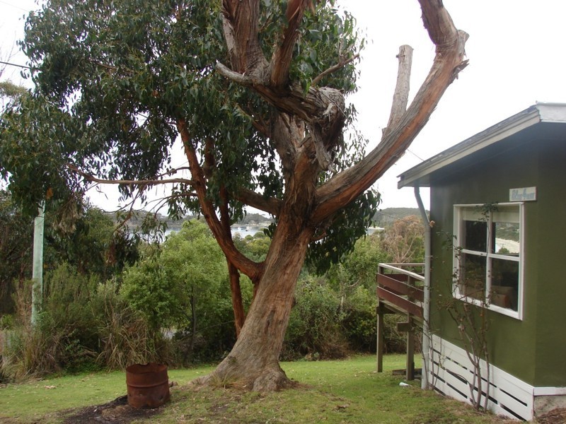 200 Blowhole rd, Eaglehawk Neck TAS 7179