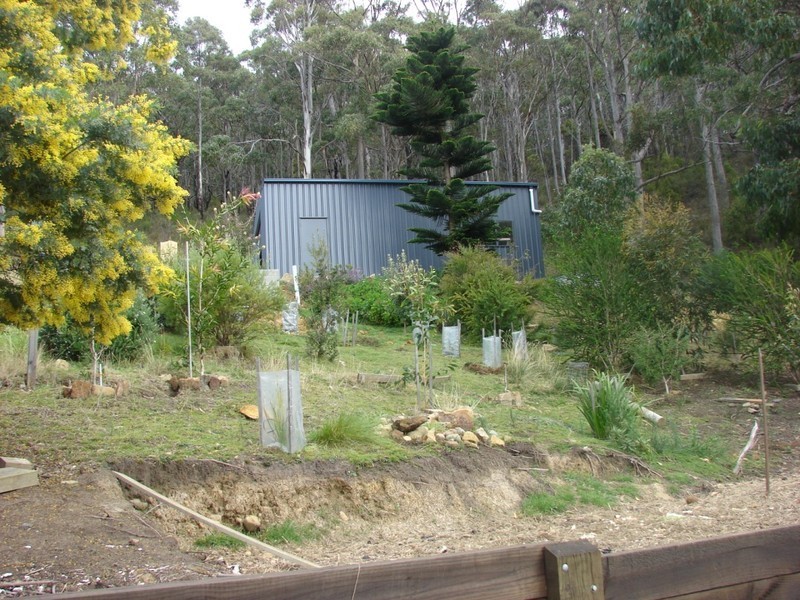 84 Blowhole rd, Eaglehawk Neck TAS 7179