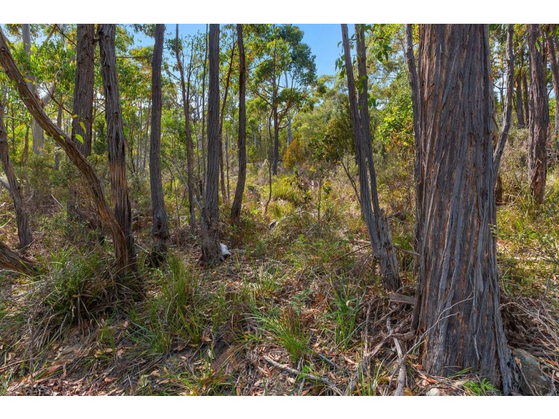 215 Nubeena Road, Koonya TAS 7187