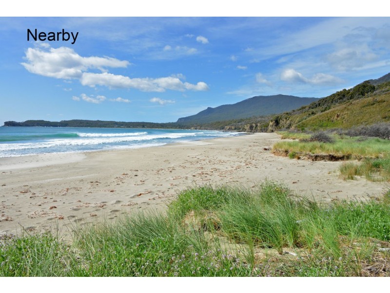 1-3 Lyne Street, Eaglehawk Neck TAS 7179