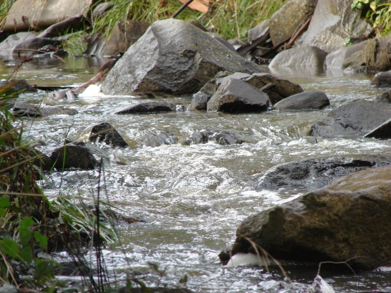 1814 Main Road, Nubeena TAS 7184