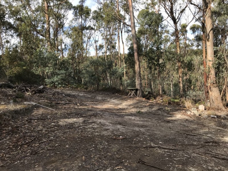 24 Schofield Drive, Sorell TAS 7172