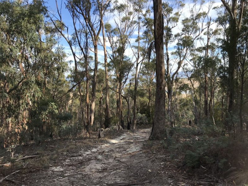 24 Schofield Drive, Sorell TAS 7172