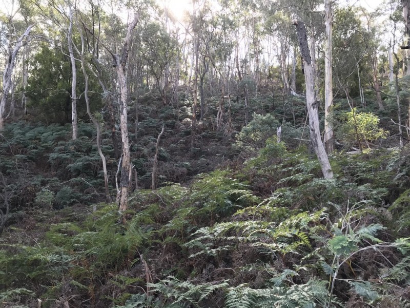 24 Schofield Drive, Sorell TAS 7172