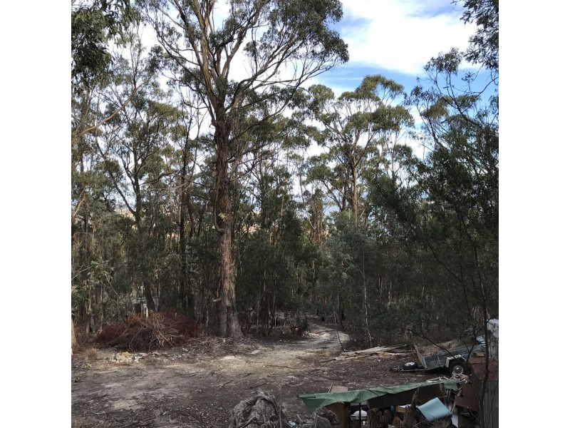 24 Schofield Drive, Sorell TAS 7172