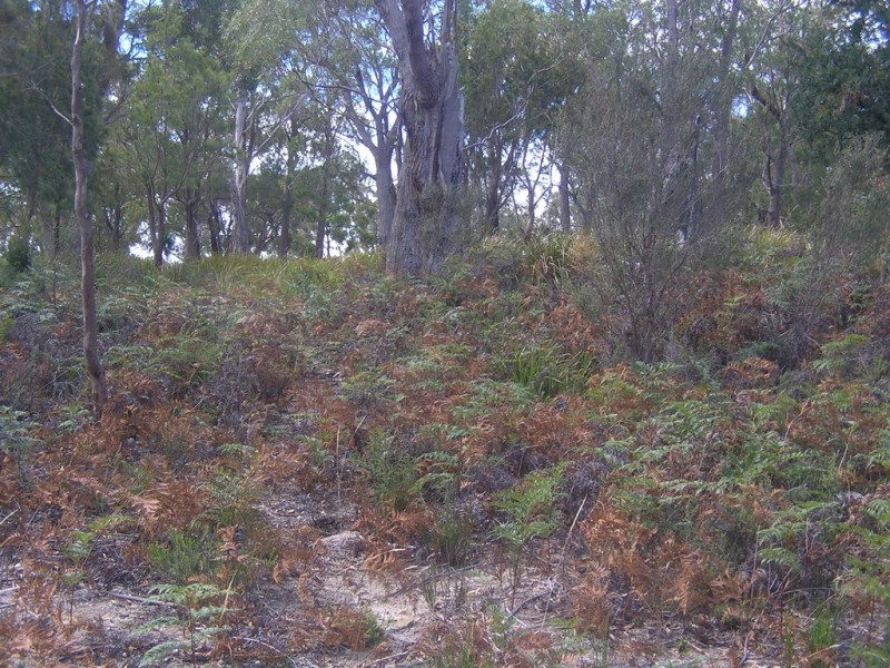 16 Dodges Hill Road, Dodges Ferry TAS 7173