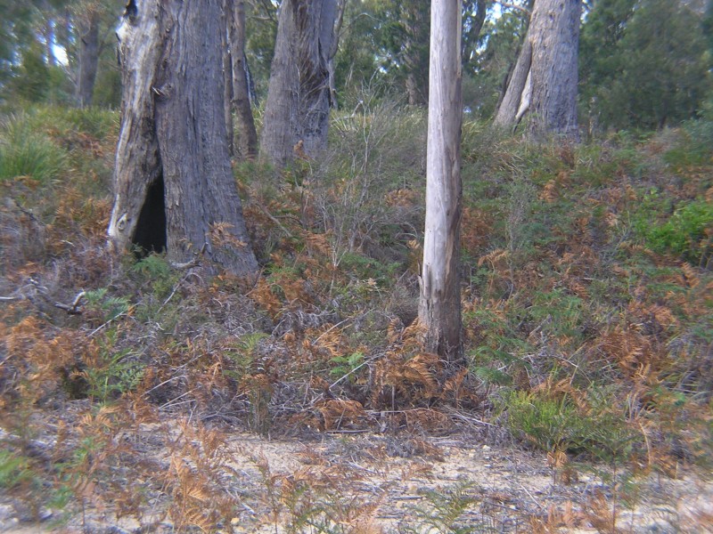 16 Dodges Hill Road, Dodges Ferry TAS 7173