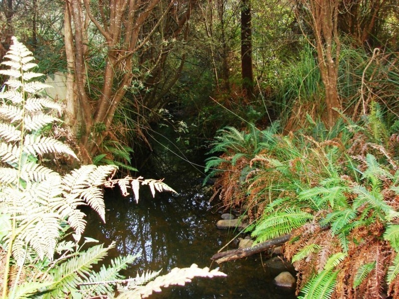 36 Fortescue Bay rd, Port Arthur TAS 7182