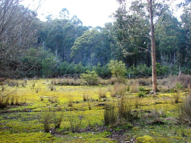 36 Fortescue Bay rd, Port Arthur TAS 7182