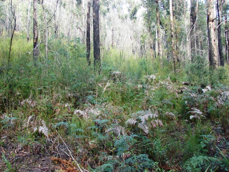 36 Fortescue Bay rd, Port Arthur TAS 7182