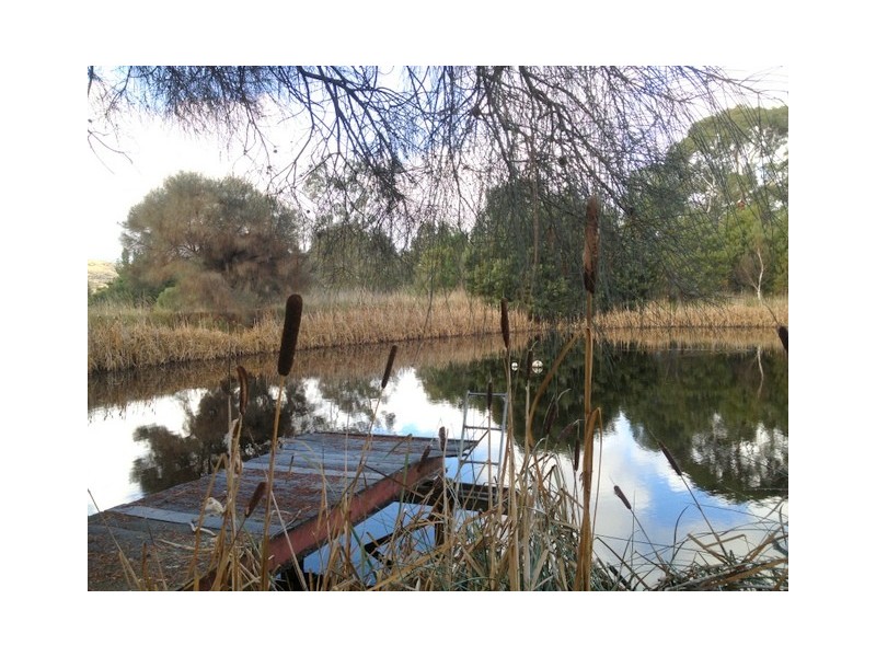 1253 Grass Tree Hill Road, Richmond TAS 7025