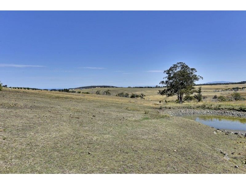 55 Homewood Drive, Carlton River TAS 7173