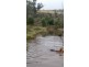 55 Homewood Drive, Carlton River TAS 7173