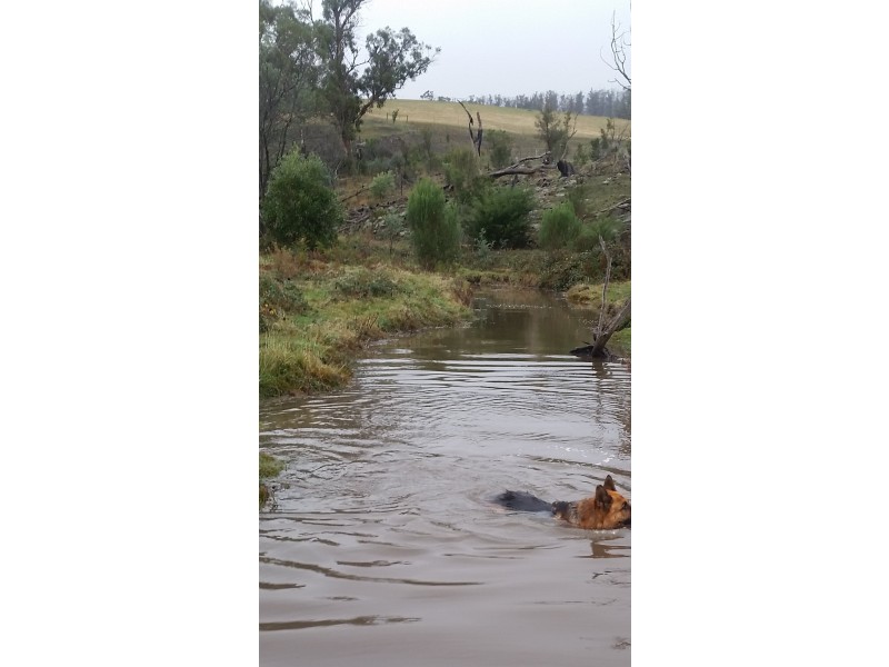 55 Homewood Drive, Carlton River TAS 7173