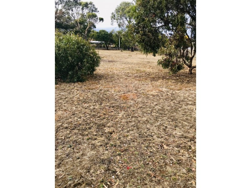 11 Constance Street, Dunalley TAS 7177