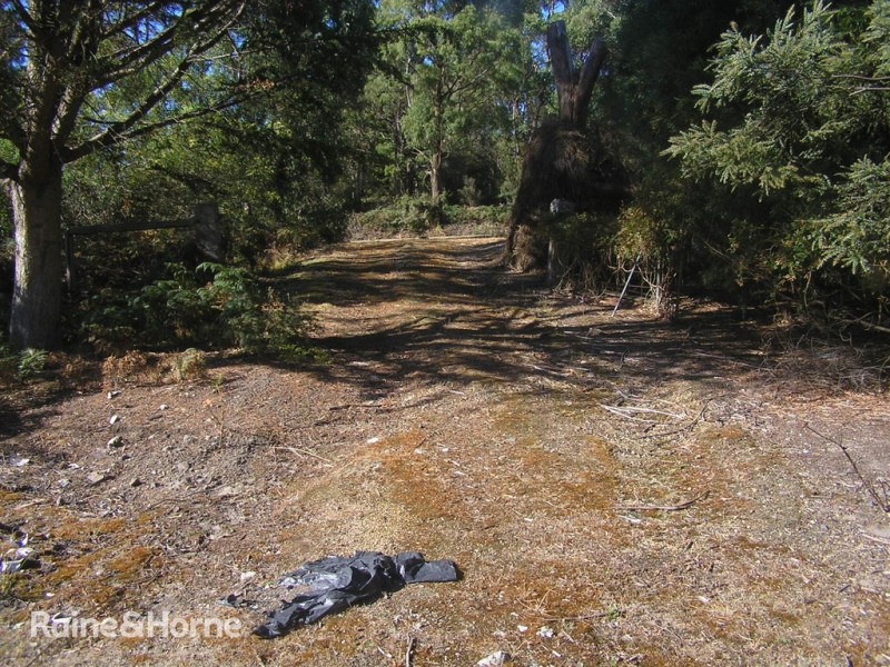 286 Roaring Beach Road, Nubeena TAS 7184