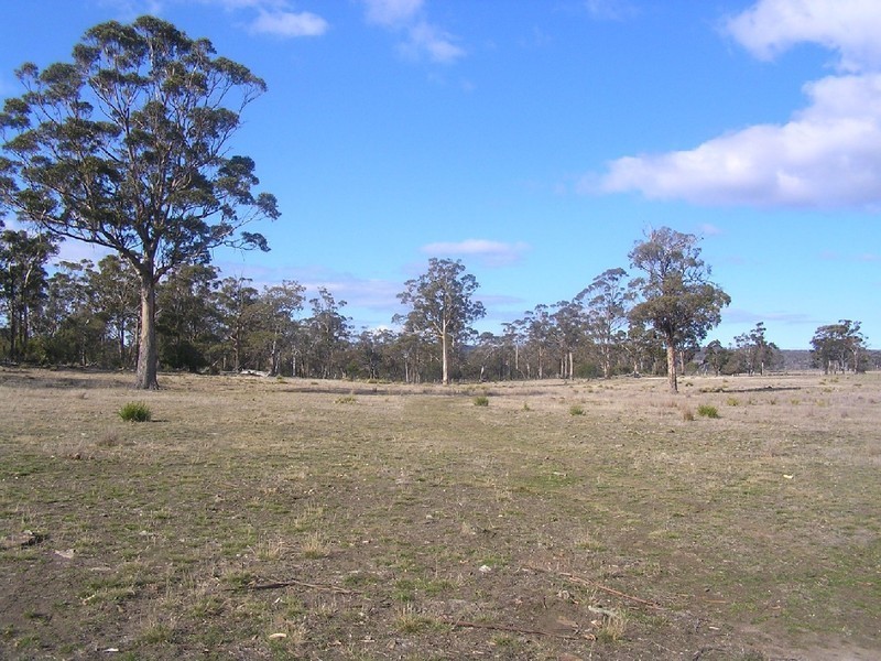10746 TASMAN HIGHWAY, Little Swanport TAS 7190