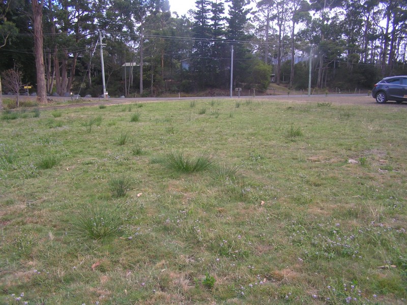Lot 2-328 Blowhole Road, Eaglehawk Neck TAS 7179