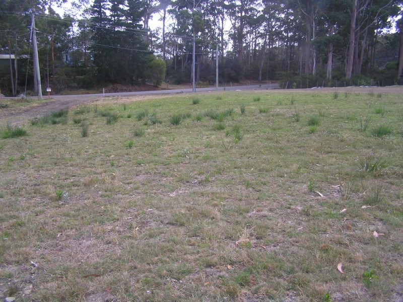 Lot 2-328 Blowhole Road, Eaglehawk Neck TAS 7179