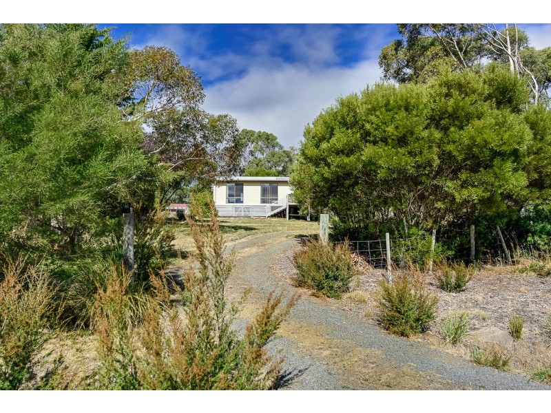 46 Free Street, White Beach TAS 7184