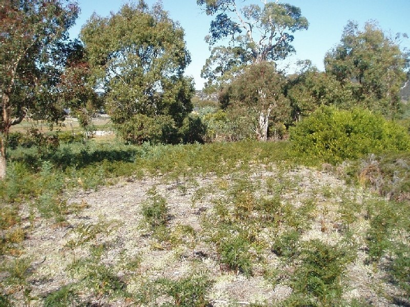 338 Carlton River Road, Carlton TAS 7173