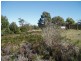 338 Carlton River Road, Carlton TAS 7173