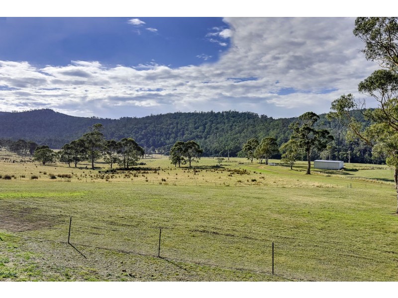 151 Crawlers Gully Road, Nugent TAS 7172