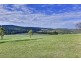 151 Crawlers Gully Road, Nugent TAS 7172