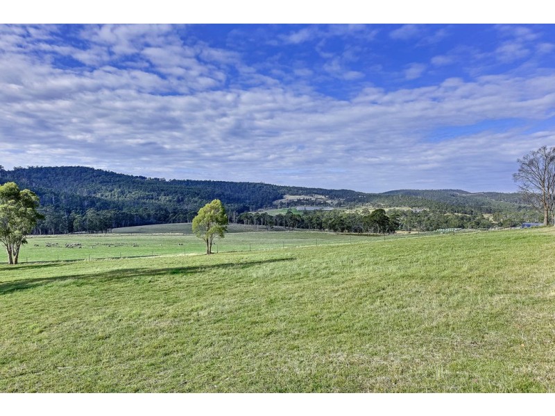 151 Crawlers Gully Road, Nugent TAS 7172