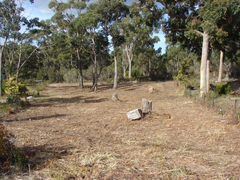 14 Olive Avenue, White Beach TAS 7184