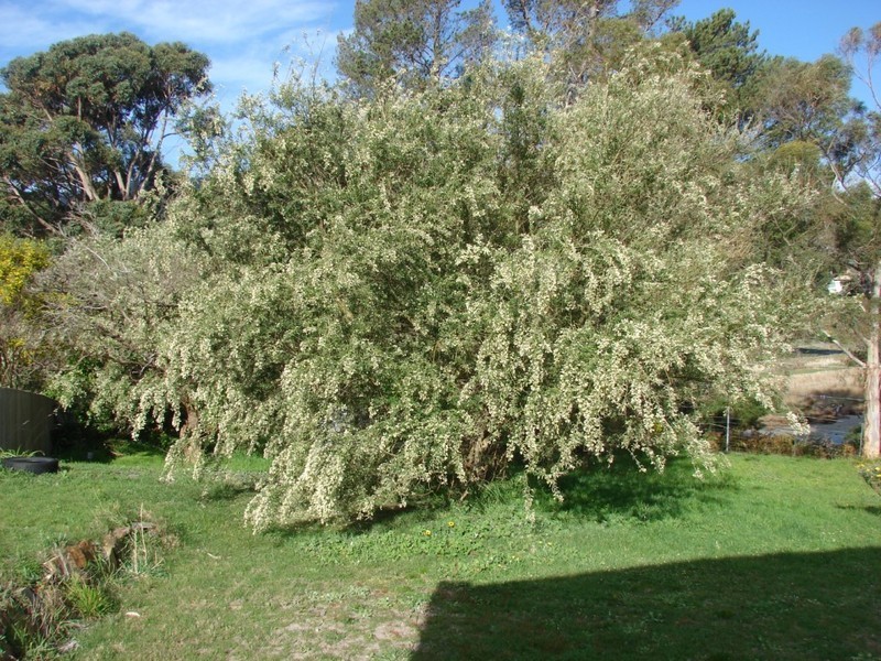 25 Peace st, Nubeena TAS 7184