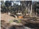 Lot 2 Free st, White Beach TAS 7184