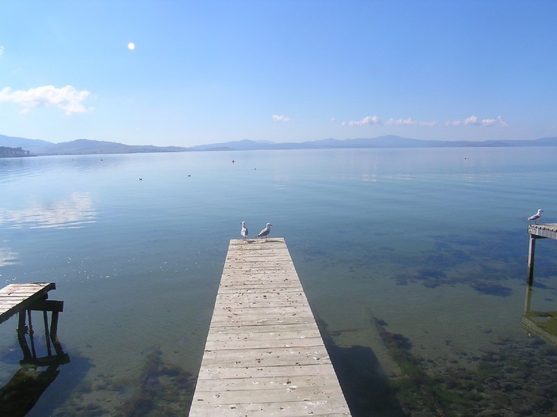 137 Linden Road, Primrose Sands TAS 7173