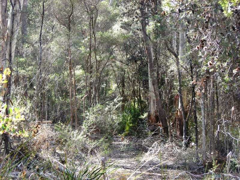 L2/221 Old Jetty rd, Eaglehawk Neck TAS 7179