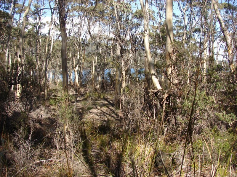 L2/221 Old Jetty rd, Eaglehawk Neck TAS 7179