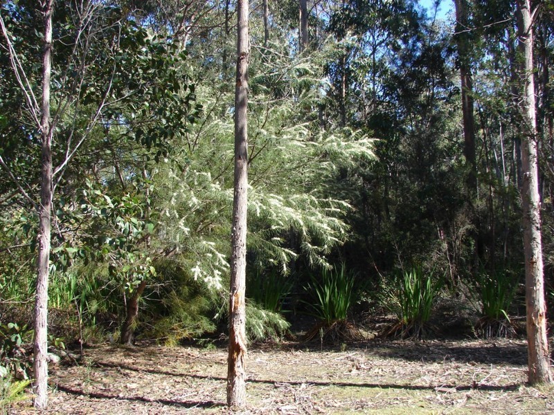 221 Old Jetty rd, Eaglehawk Neck TAS 7179