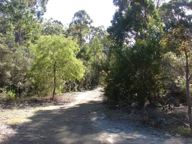 221 Old Jetty rd, Eaglehawk Neck TAS 7179