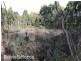 2240 Arthur Highway, Copping TAS 7174