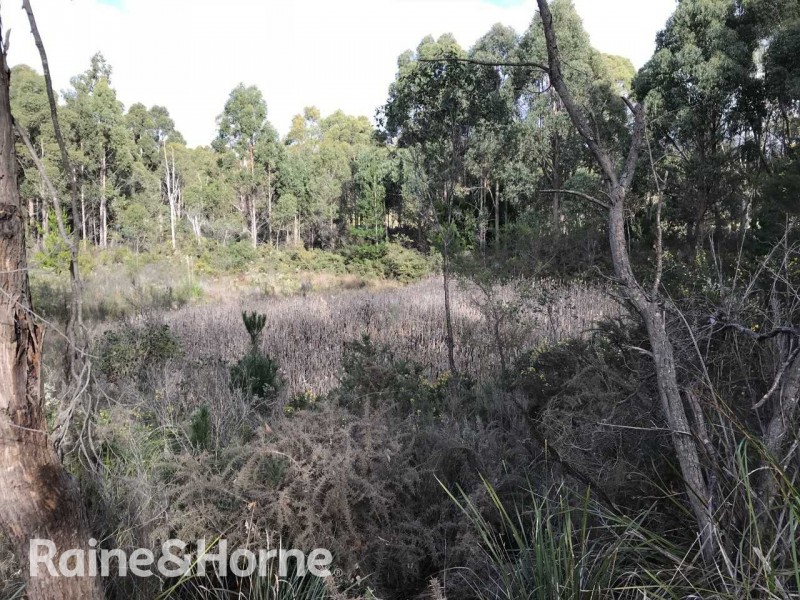 2240 Arthur Highway, Copping TAS 7174