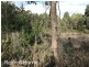 2240 Arthur Highway, Copping TAS 7174