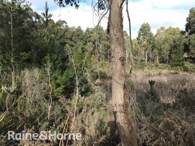 2240 Arthur Highway, Copping TAS 7174