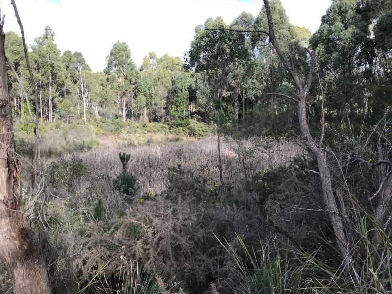 2240 Arthur Highway, Copping TAS 7174