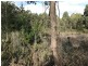2240 Arthur Highway, Copping TAS 7174