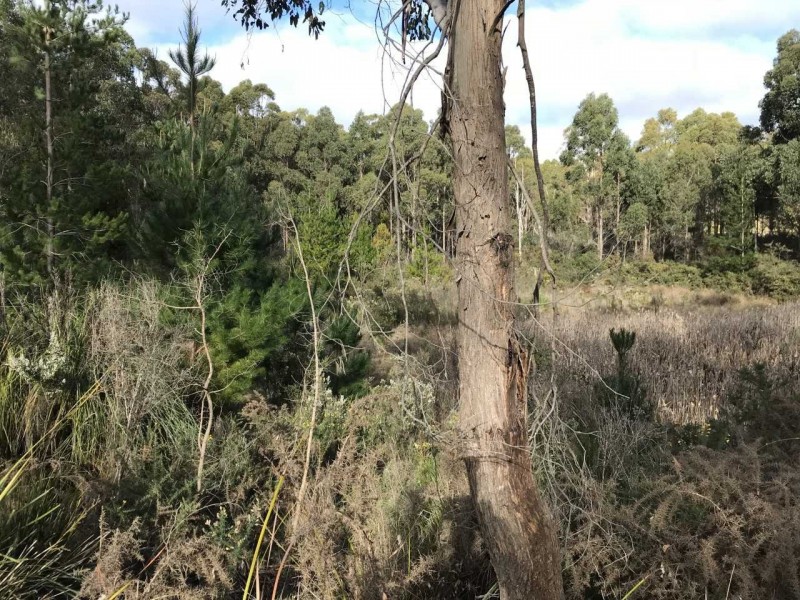 2240 Arthur Highway, Copping TAS 7174