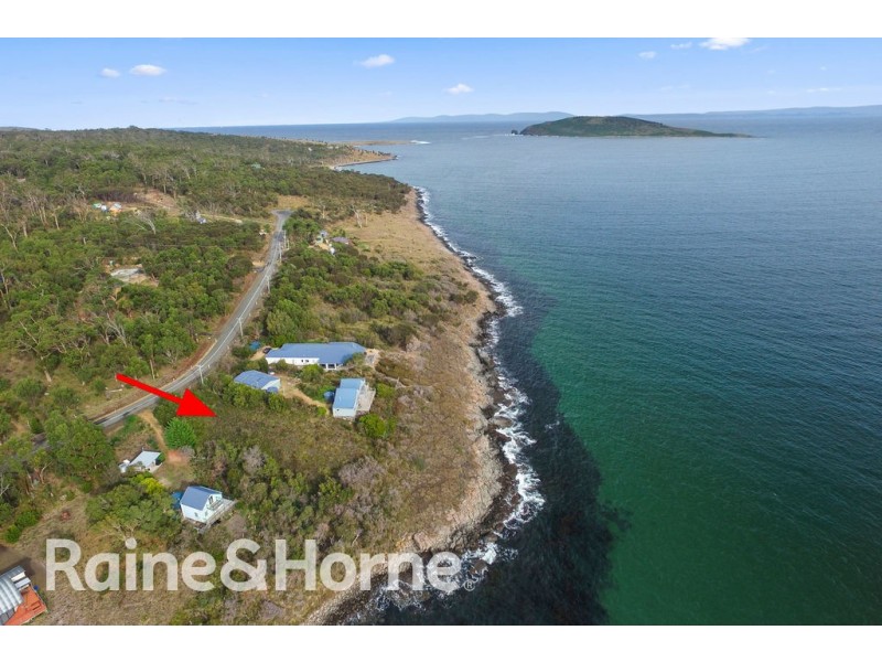 584 White Beach Road, White Beach TAS 7184