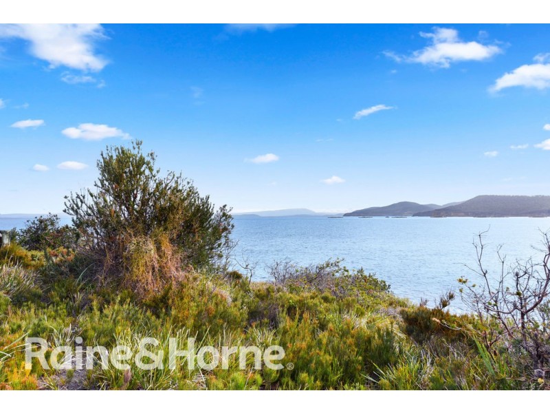 584 White Beach Road, White Beach TAS 7184