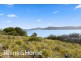 584 White Beach Road, White Beach TAS 7184